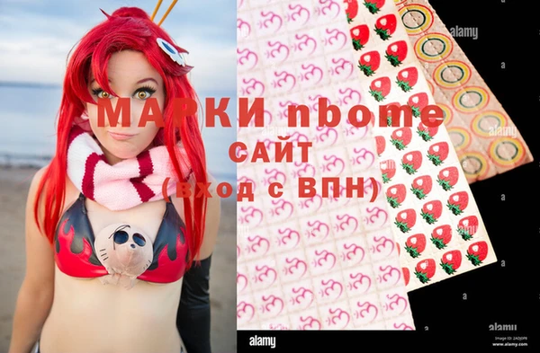 apvp Алексин