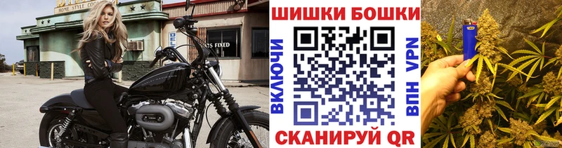 Канабис сатива Ачинск